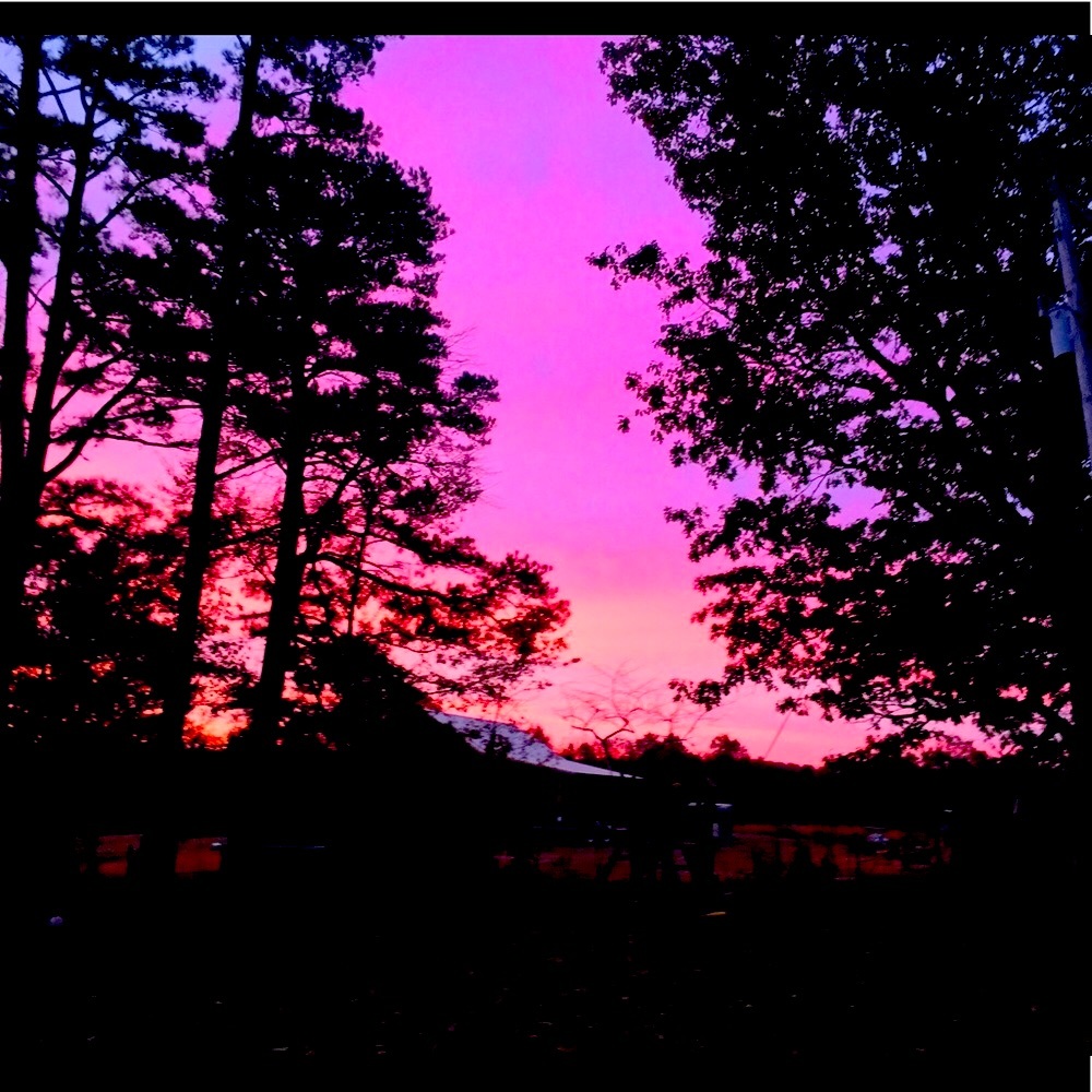 Meet your Posher, Whitney - Picture 5 of 13